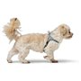 Harnais pour Chien Hunter SOHO MINI Bleu XXS/XS