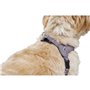 Harnais pour Chien Hunter SOHO MINI Lila XS/S