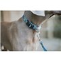 Laisse pour Chien Hunter Bleu 100 cm
