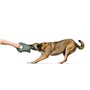 Jouet pour chien Hunter Tough Tundra Vert Hibou
