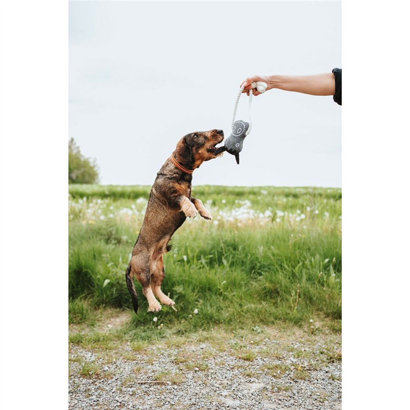 Image secondaire de Jouet pour chien Hunter Nebraska Marron Vache