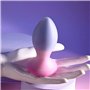 Plug Anal Evolved Multicouleur (8,9 cm)