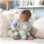 INGENUITY Doudou bébé lapin Sylvi, peluche, mélodies et vibrations apaisantes, lumineux, cadeau naissance