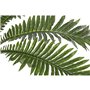 Plante décorative Home ESPRIT PVC Fougère 80 x 80 x 60 cm
