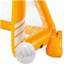 Intex cage de water polo