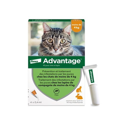 Advantage Chat & Lapin de moins de 4 kg – Pipettes anti puces chat pour prévention des infestations – Traitement anti puces avec