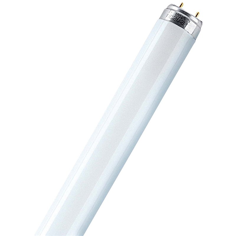 OSRAM LUMILUX T8 fluorescent lamp, 18 watts, G13 (865)