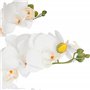 Atmosphera - Orchidée Artificielle - Pot céramique Blanc H65 cm