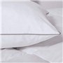IDMarket - Couette 220x240 CM AELA en Plume d'oie Anti acarien 500 GR + 2 oreillers