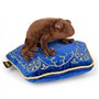 The Noble Collection Chocolate Frog Plush & Pillow by Officially Licensed 14in (36cm) Harry Potter Toy Dolls Chocolate Frog Plus