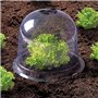 IDMarket - Cloche à salades x12 Serre de Protection pour Plants