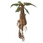 The Noble Collection Mandrake Interactive Plush by Officially Licensed 14in (35cm) Harry Potter Toy Dolls Mandrake Plush & Plant
