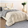 IDMarket - Couette 220x240 CM Zoe Polaire biface Gris et crème 400 GR