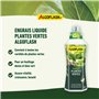 Algoflash Engrais Plantes Vertes, Bouchon Doseur Inclus, 750 ml, ALIPAV750N