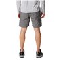 Short cargo Columbia Silver Ridge Utility pour homme
