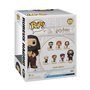 Funko Pop! Super: Harry Potter Prisoner of Azkaban - Rubeus Hagrid Animal Pelt Outfit - Figurine en Vinyle à Collectionner - Idé