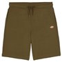 Dickies Short de Sport, Standard