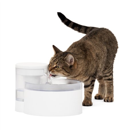 PetSafe Fontaine à Eau Outlast sans Pompe, 1,7 L, Fontaine à Eau pour Petits Chiens et Chats, Passe au Lave-Vaisselle, Assemblag