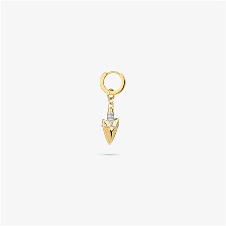 Boucles d´oreilles Femme Radiant RH000207 Doré 1 Unité