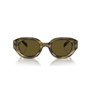 Lunettes de soleil Homme Emporio Armani EA 4230U