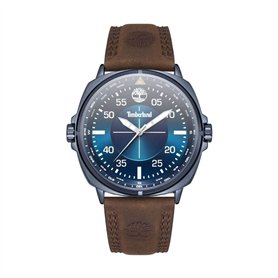 Montre Homme Timberland TDWGA2132001