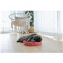 Grattoir pour Chats Kerbl                                 Rose Bronze Carton