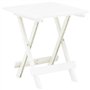 vidaXL Table Pliable de Jardin Blanc 45x43x50 cm Plastique