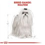 Royal Canin Maltese Adult | 500 g | Croquettes pour Maltais Adultes | pour Soutenir Le Pelage et la Digestion | pour Les Chiens 