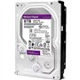 Western Digital WD81PURZ Disque Dur Interne 3,5" 8 to SATA
