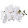 Atmosphera - Orchidée Artificielle clera h52cm Blanc