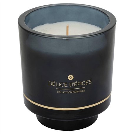 Atmosphera - Bougie parfumée ilae délice d épices 225g
