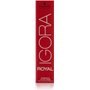 Schwarzkopf Igora Royal 7-0 Coloration 60 ml