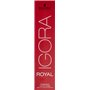 Schwarzkopf - ROYAL IGORA 60 ml 7-00