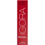 Schwarzkopf - ROYAL IGORA 60 ml 7-00