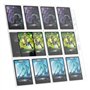Ultimate Guard UGD011321 QuadRow Pages 24 poches latérales transparentes (10) pages de classeur double face pour cartes à collec