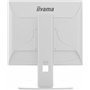 iiyama Moniteur de Bureau, B1980S-W1-19, TN, 1280 x 1024/75 Hz, 1H1DP, Has