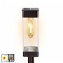 Lampe solaire Aktive 6 x 55 x 6 cm (4 Unités)