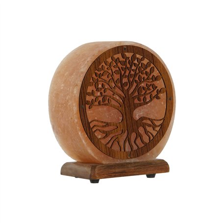 Lampe de bureau Home ESPRIT Marron Rose 15 W 220 V