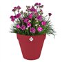 Pot de fleur - Elho - Loft Urban Rond - Rouge - L 29 x B 28.5 x H 26 cm - Extérieur - 100% recyclé