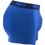 Boxer pour homme Puma 521015001-420