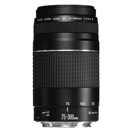 Canon 6473A003 Objectif pour Reflex EF 75-300mm f / 4.0-5.6 III