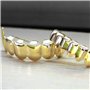 Grilles de Dents de Hip-hop d'or pour la Bouche Haut Bas,Grille de Dents Brillant Our la Bouche Top Bottom,avec 2 Barres de Moul
