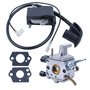 Adefol Carburateur et Bobine d'allumage pour Stihl FS120 FS200 FS250 FS300 FS350 Debroussailleuse, Carburateur + Module de Bobin