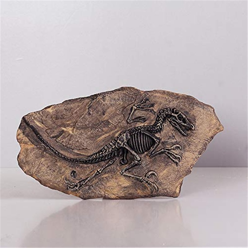 Image secondaire de VOANZO Statue de fossile de dinosaure en résine - Modèle de squelette simulé - Décoration pour la maison ou le bureau