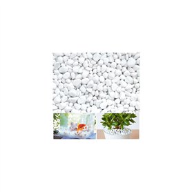 Gravier Galets Pierres Petits Cailloux de Marbre Blanc Naturels Cailloux Décoratifs Blancs pour Aquarium Décorations de Jardin P Gravier Galets Pierres Petits Cailloux de Marbre Blanc Naturels Cailloux Décoratifs Blancs pour Aquarium Décorations de Jardin P