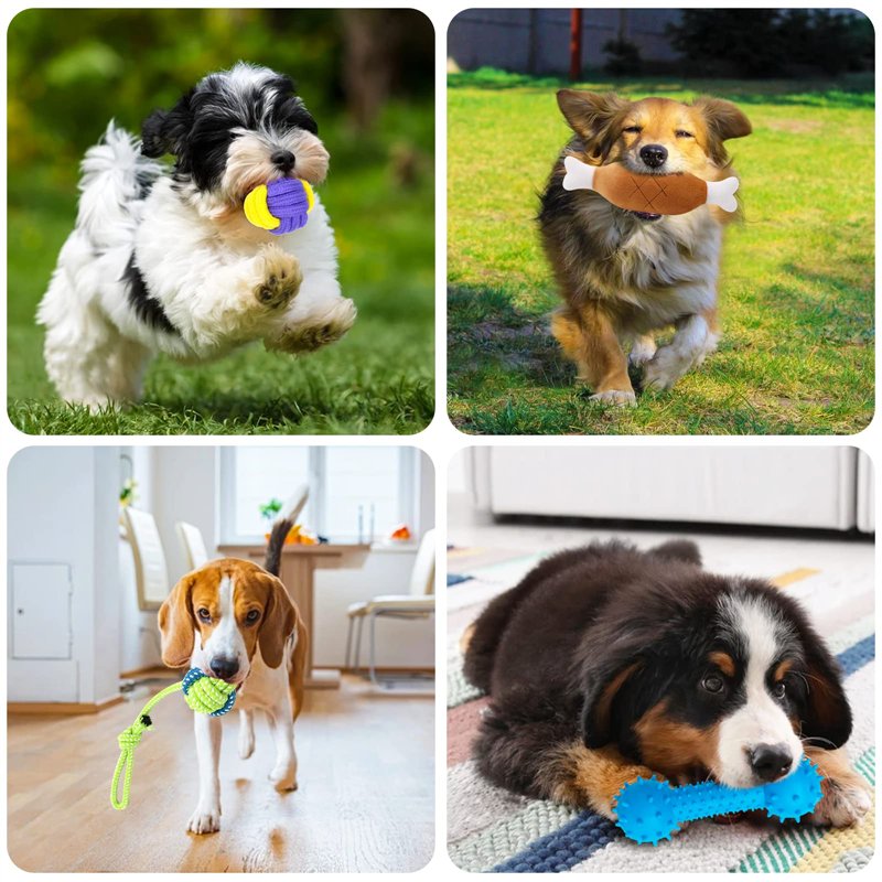 Image secondaire de HEPAZ Jouets pour Chien,19 Pièces de Jouet Chiot Chien,y Compris la Corde avec Balle,Corde avec Nœud,Anneau de Caoutchouc,Coton 