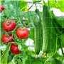 8 m Filet de Maille en Nylon pour Plantes grimpantes