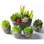 Jobary Ensemble de 5 Pots artificiels Succulents (Comprenant 10 Plantes)