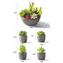 Jobary Ensemble de 5 Pots artificiels Succulents (Comprenant 10 Plantes), Faux Plantes succulentes colorées et décoratives avec 