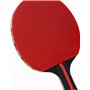 PIQIUQIU Ensemble de Raquettes de Tennis de Table avec 2 Raquettes et 3 balles dans Un Sac(Couleur aléatoire)